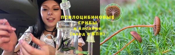 эйфоретик Белоозёрский