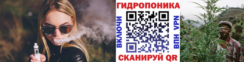 мега зеркало  Липецк  Шишки марихуана сатива 
